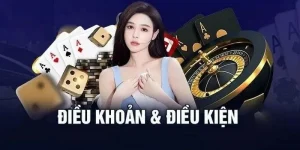 Điều Khoản Điều Kiện BL555